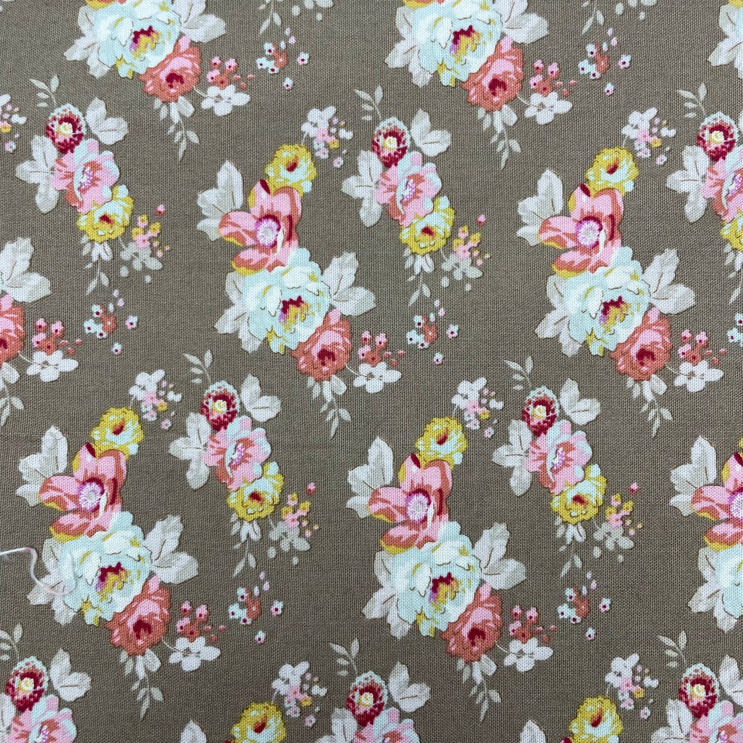 Collier pour Chien Bruxelles