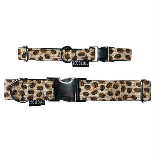Collier pour Chien Café