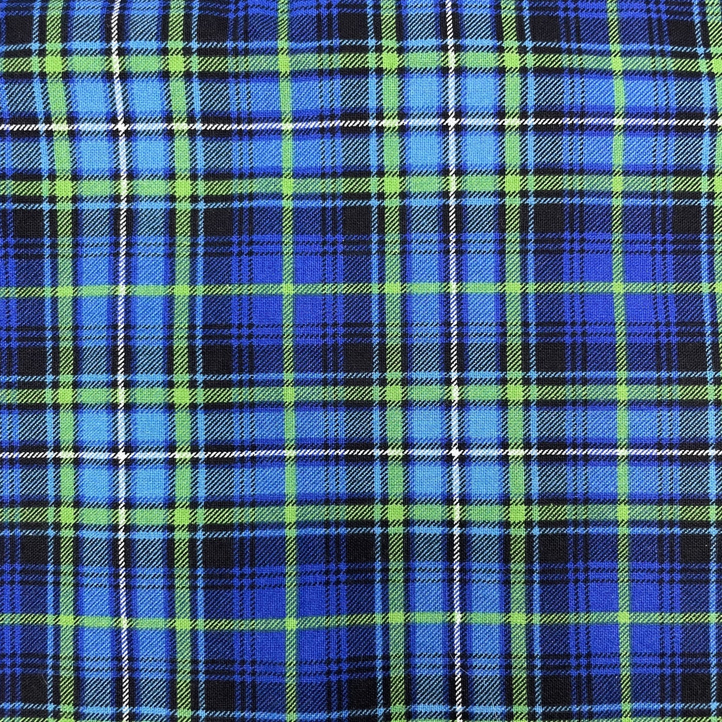 Collier pour Chien Helsinki