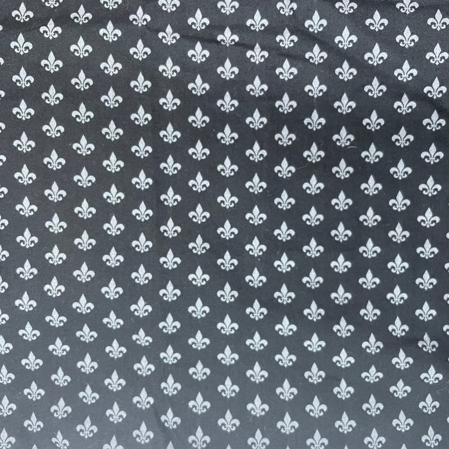 Collier pour Chien Québec