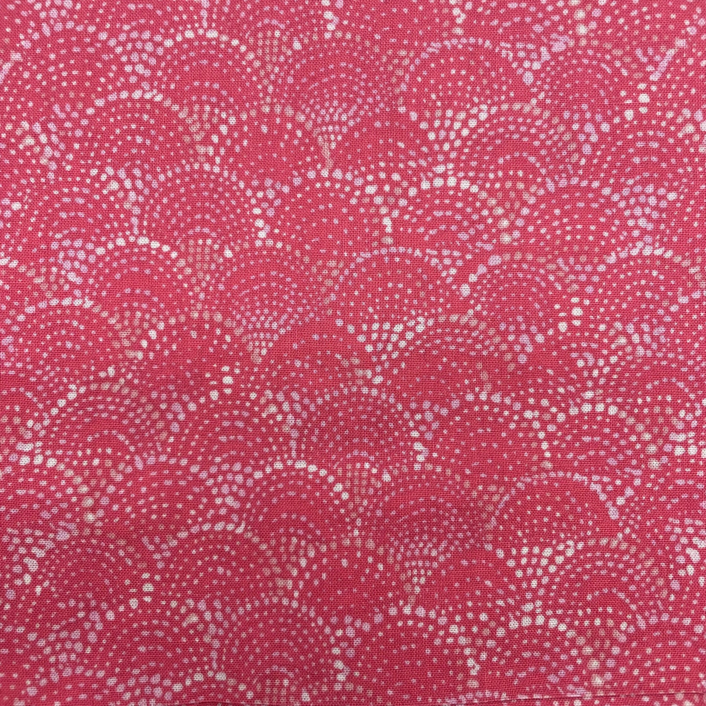 Collier pour Chien Los Angeles