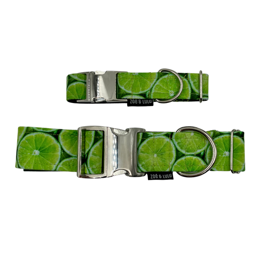 Collier pour Chien Limes
