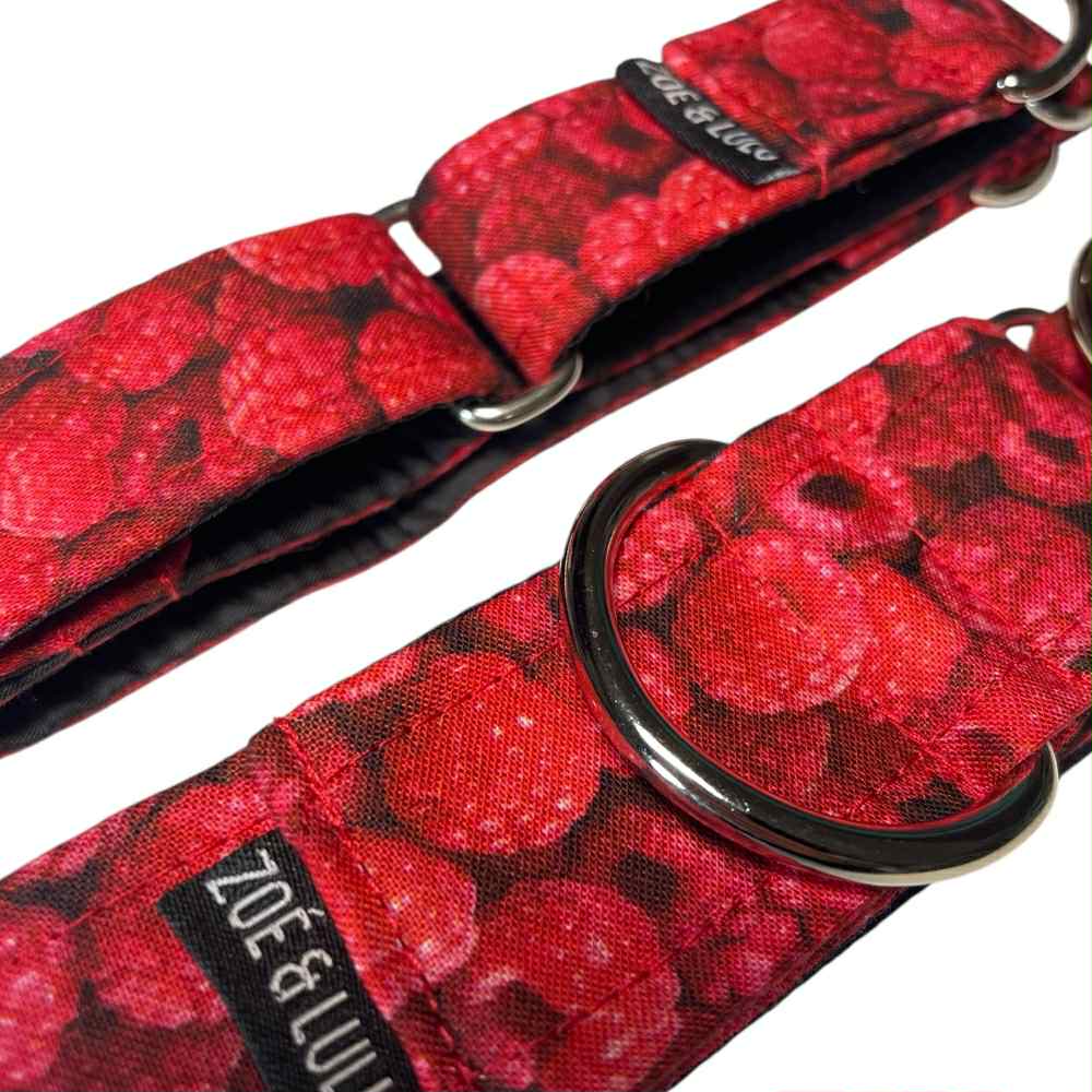 Collier pour Chien Framboises