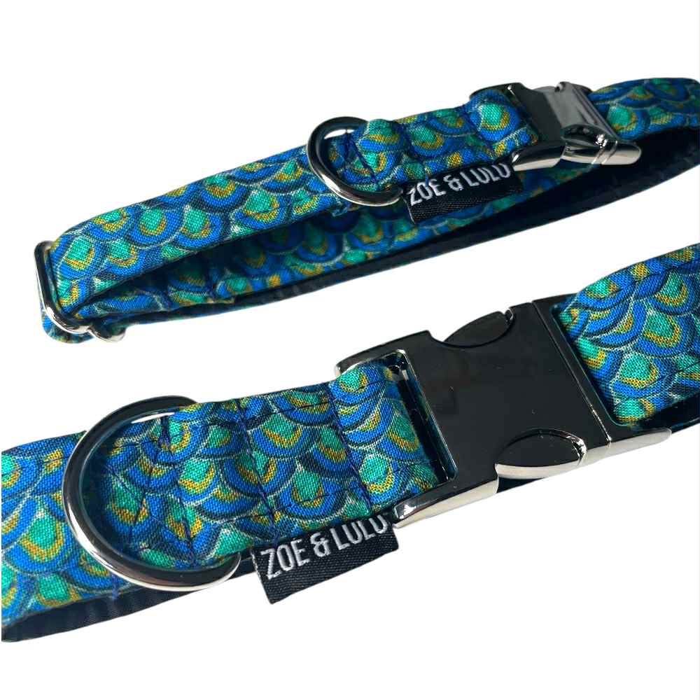 Collier pour Chien Paon