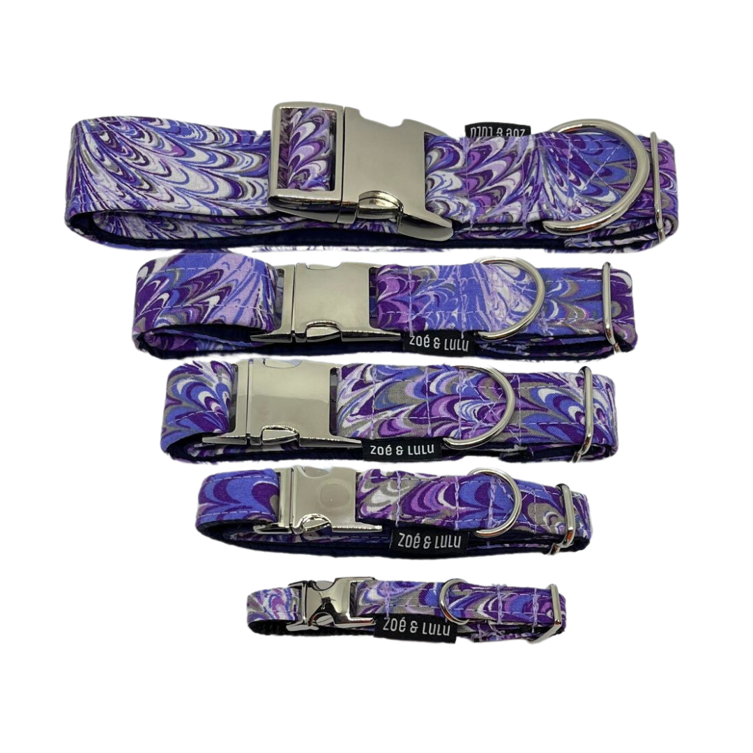 Collier pour Chien Alexandria