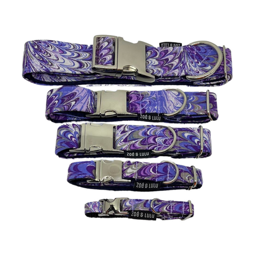 Collier pour Chien Alexandria