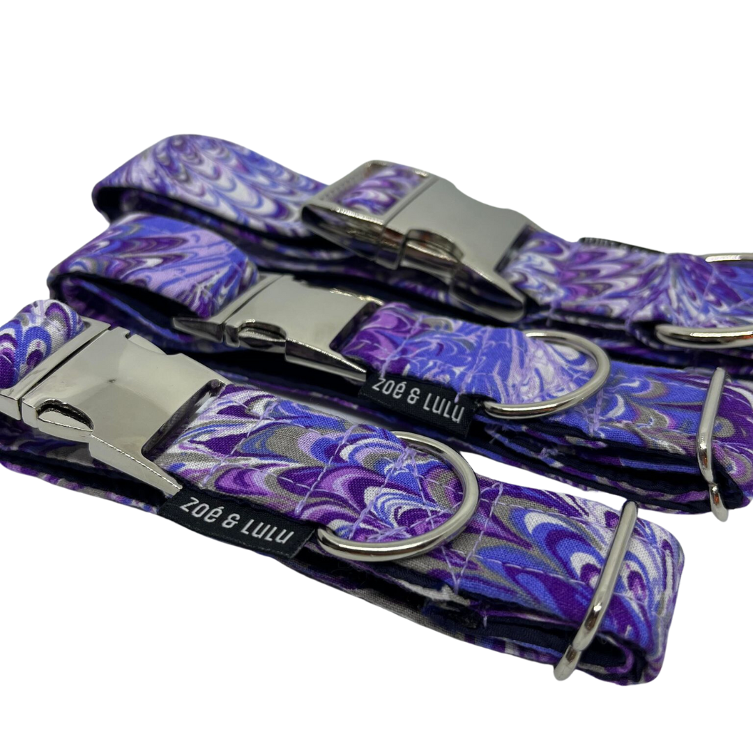 Collier pour Chien Alexandria