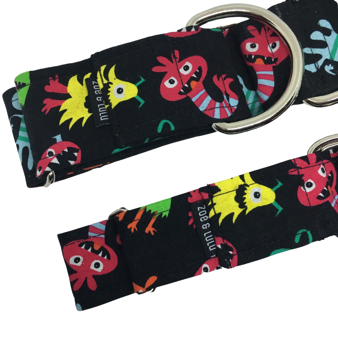 Collier pour Chien Anoka