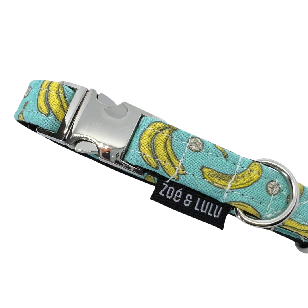 Collier pour Chien Bananes