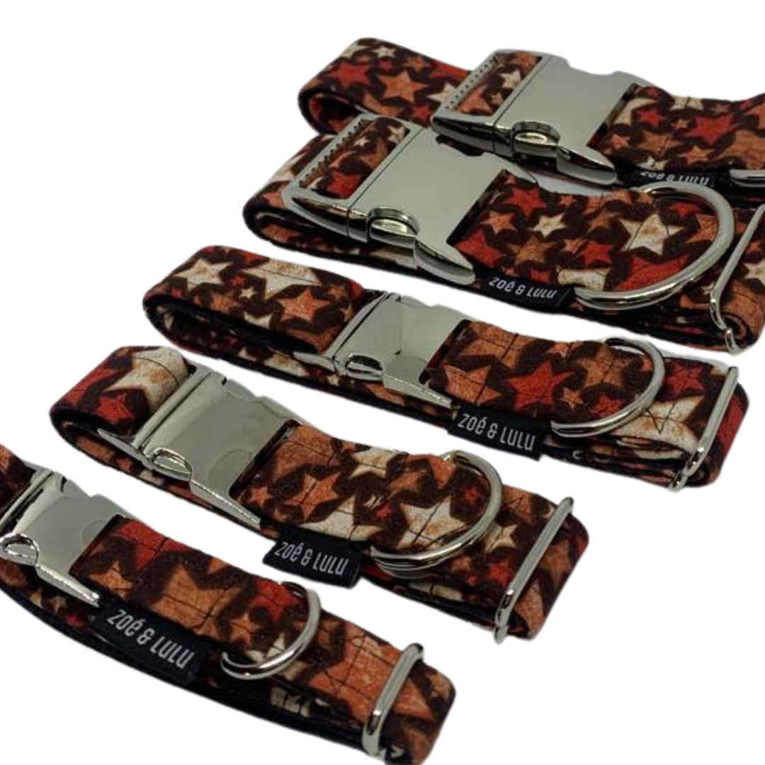 Collier pour Chien Bruges