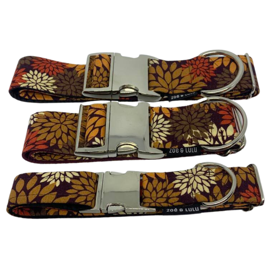 Collier pour Chien Burlington