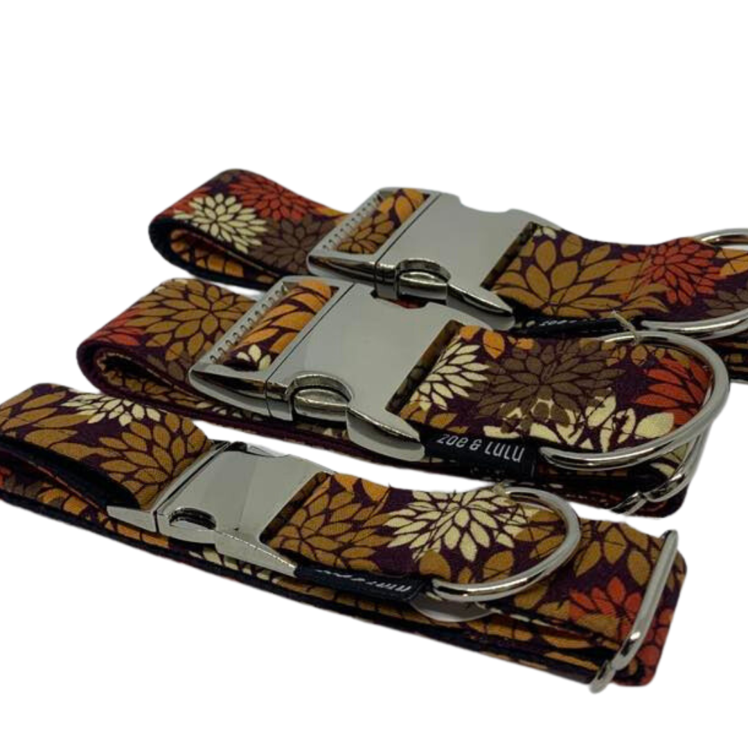 Collier pour Chien Burlington