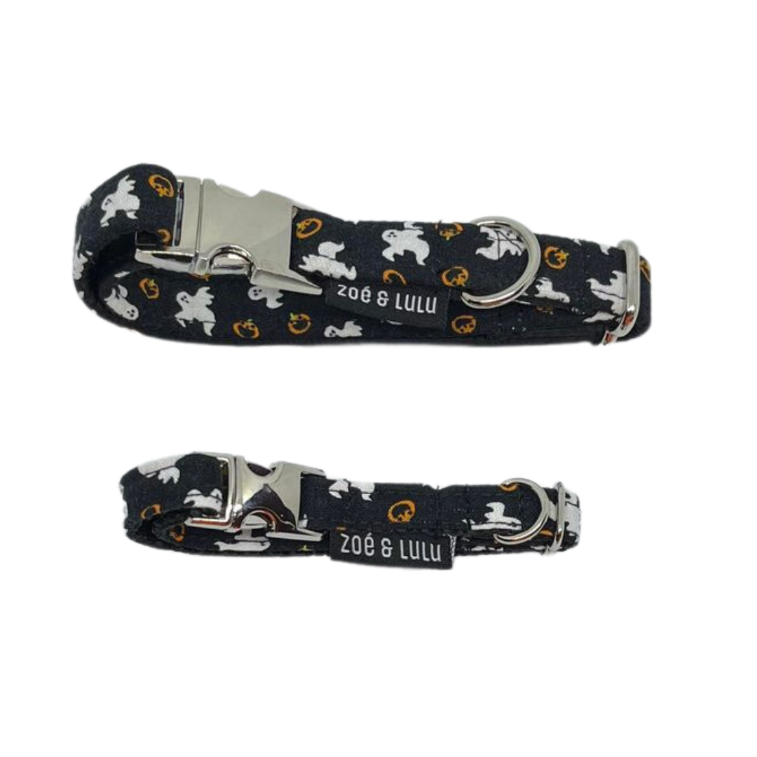 Collier pour Chien Casper