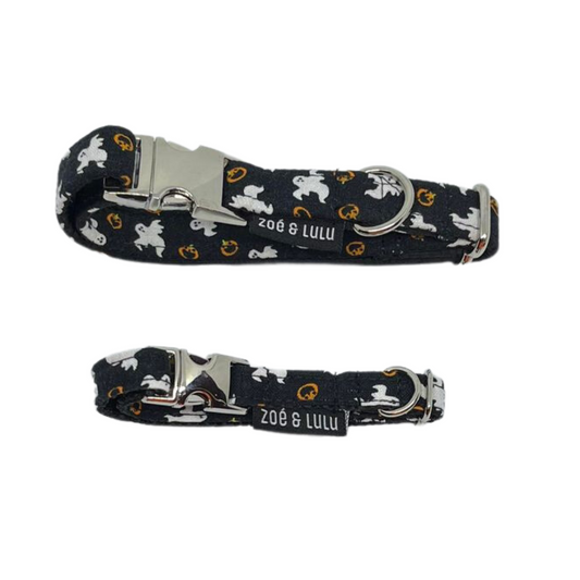 Collier pour Chien Casper