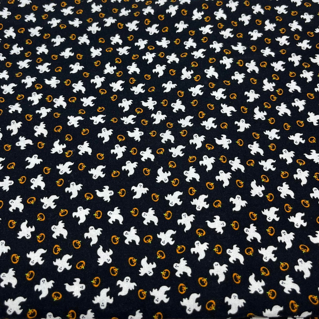 Collier pour Chien Casper