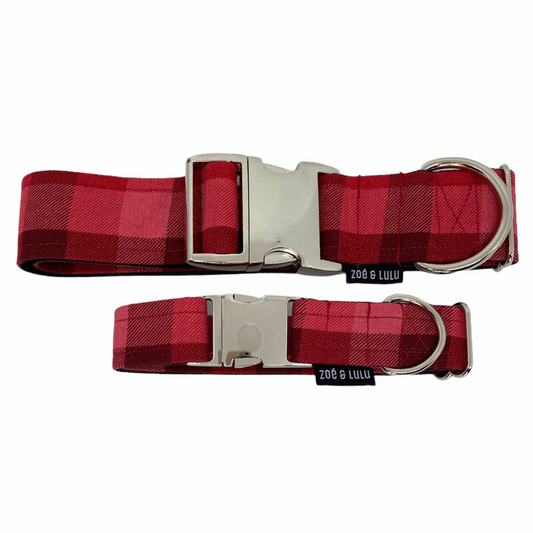 Collier pour Chien Colorado Springs