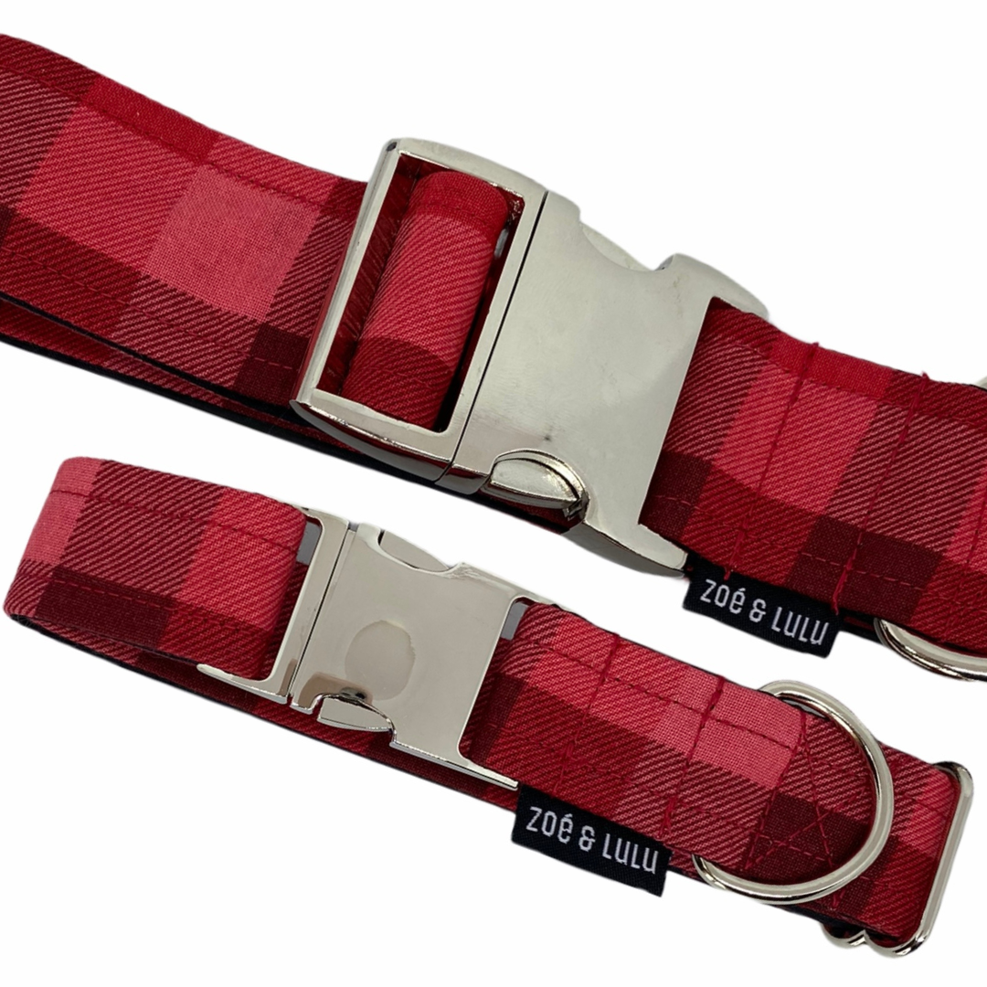 Collier pour Chien Colorado Springs
