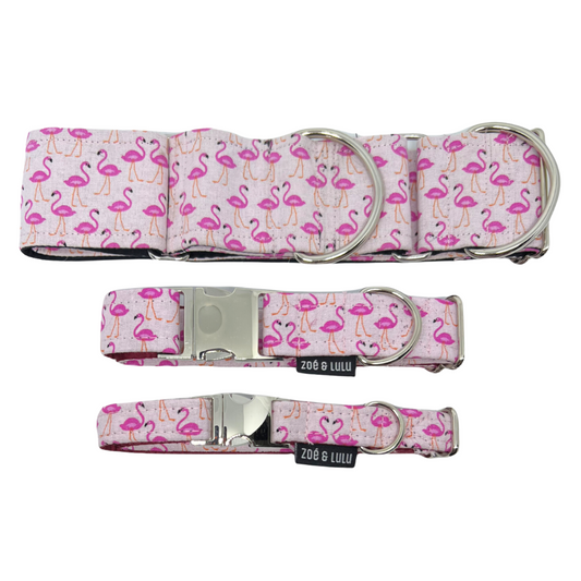 Collier pour Chien Flamants Roses
