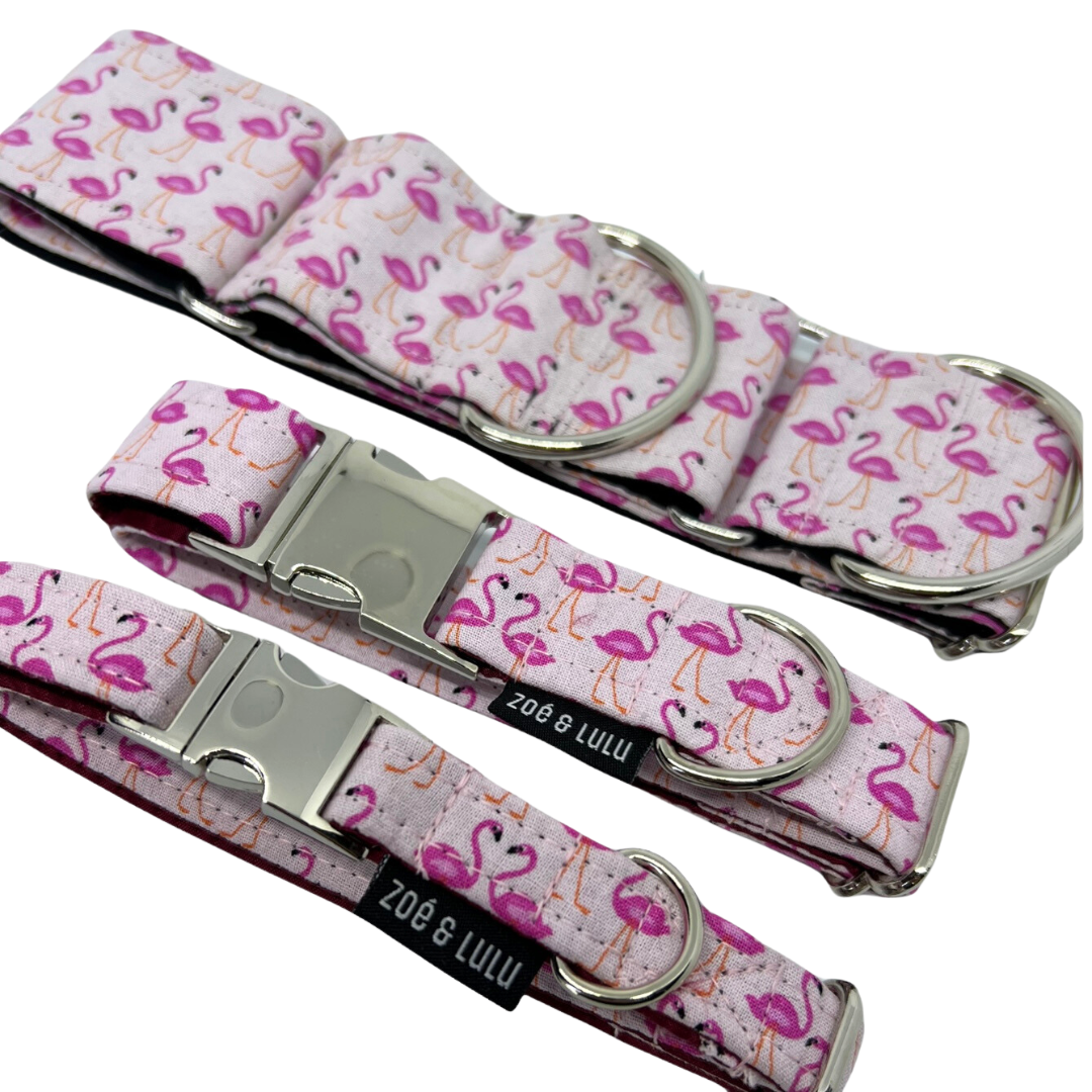 Collier pour Chien Flamants Roses