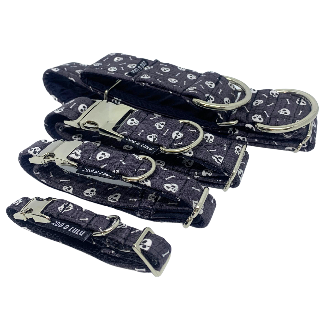 Collier pour Chien Franklin