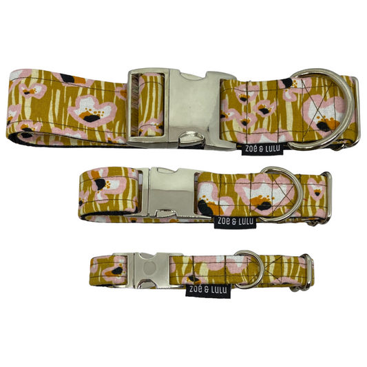 Collier pour Chien Galapagos