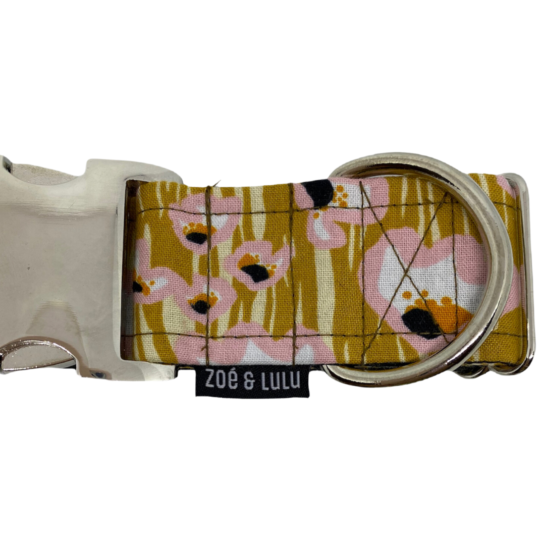 Collier pour Chien Galapagos