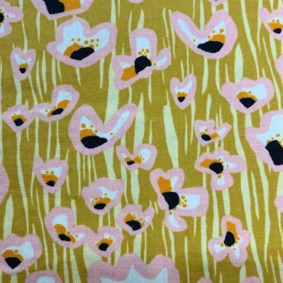 Collier pour Chien Galapagos