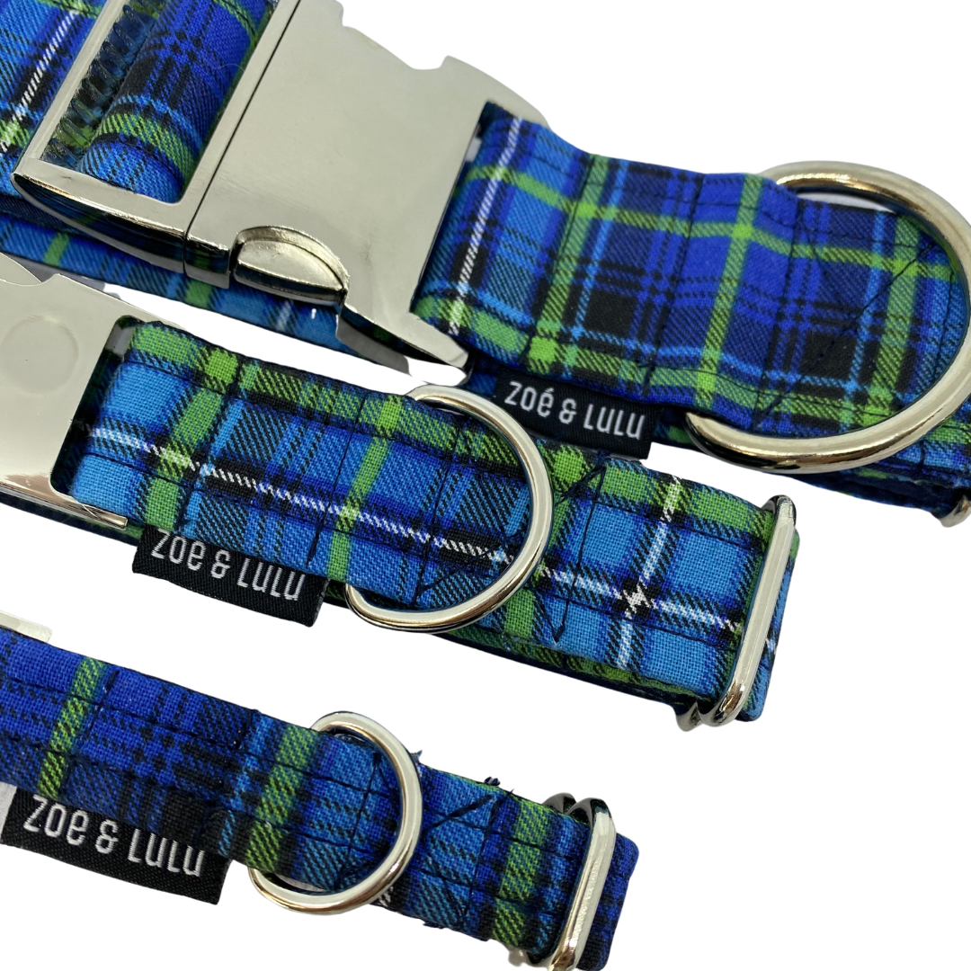 Collier pour Chien Helsinki