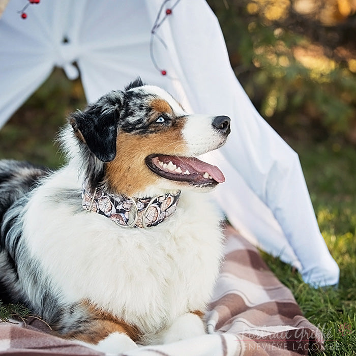 Collier pour Chien Bûches