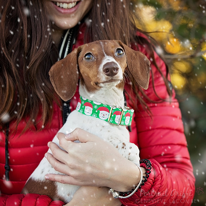 Santa Dog Collar