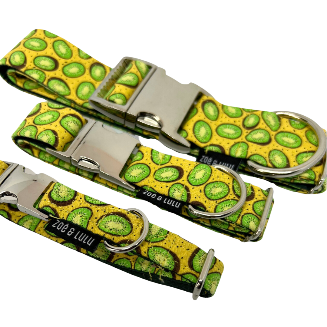 Collier pour Chien Kiwis