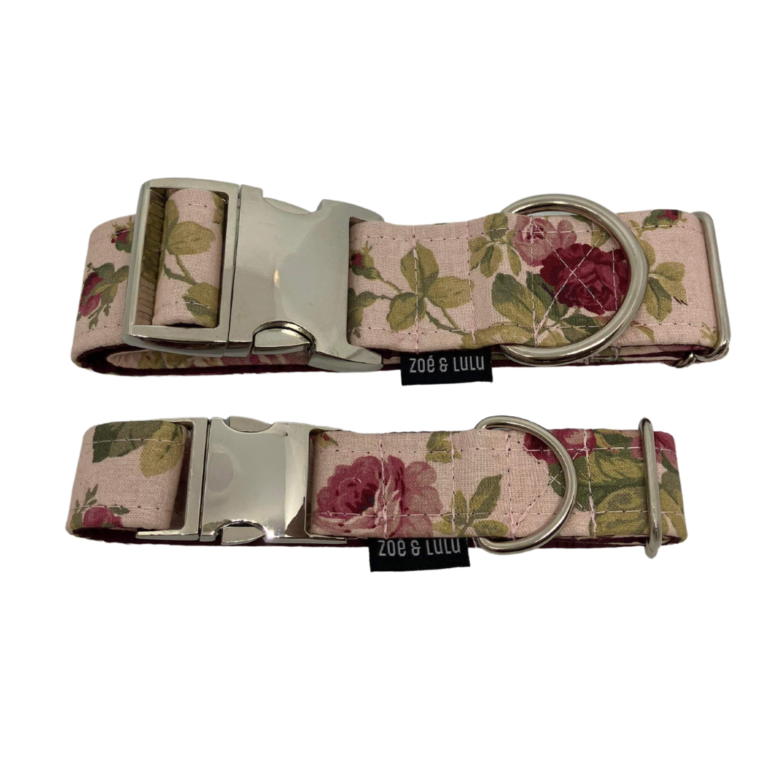 Collier pour Chien La Valette