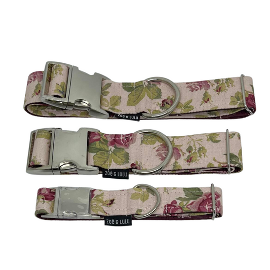 Collier pour Chien La Valette