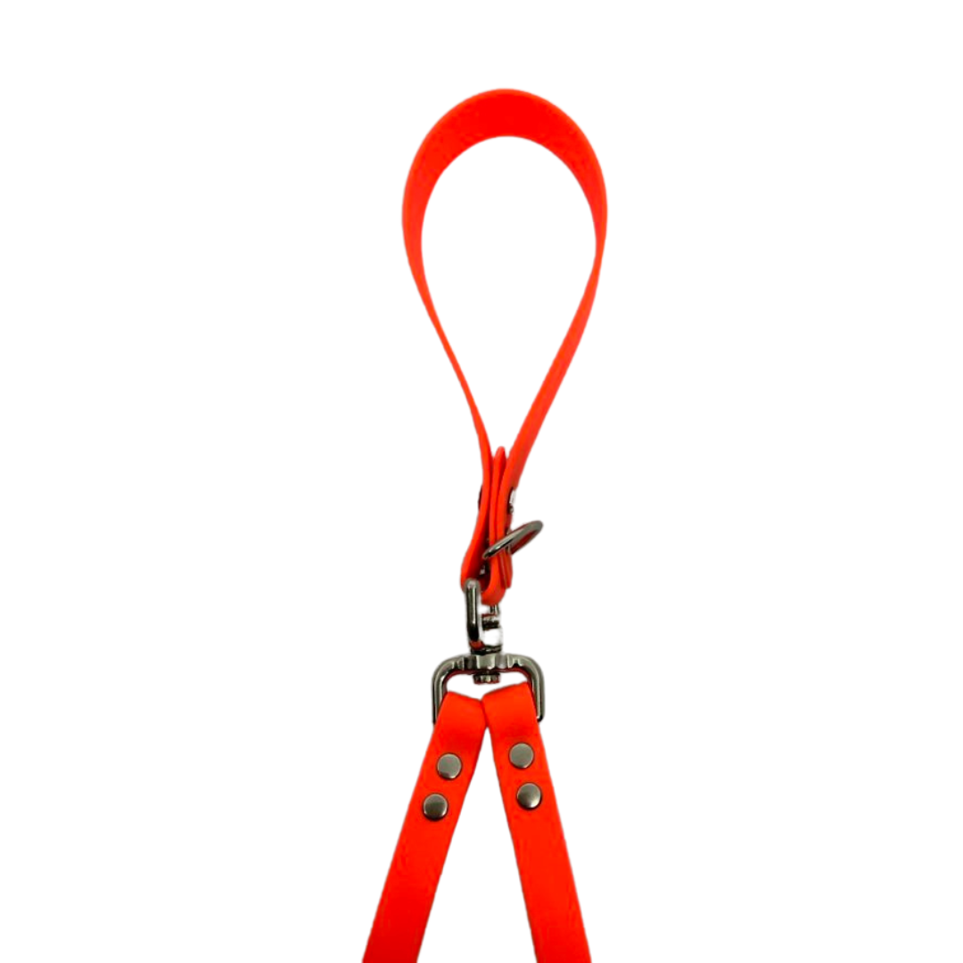 Laisse Splash Double 5 pieds