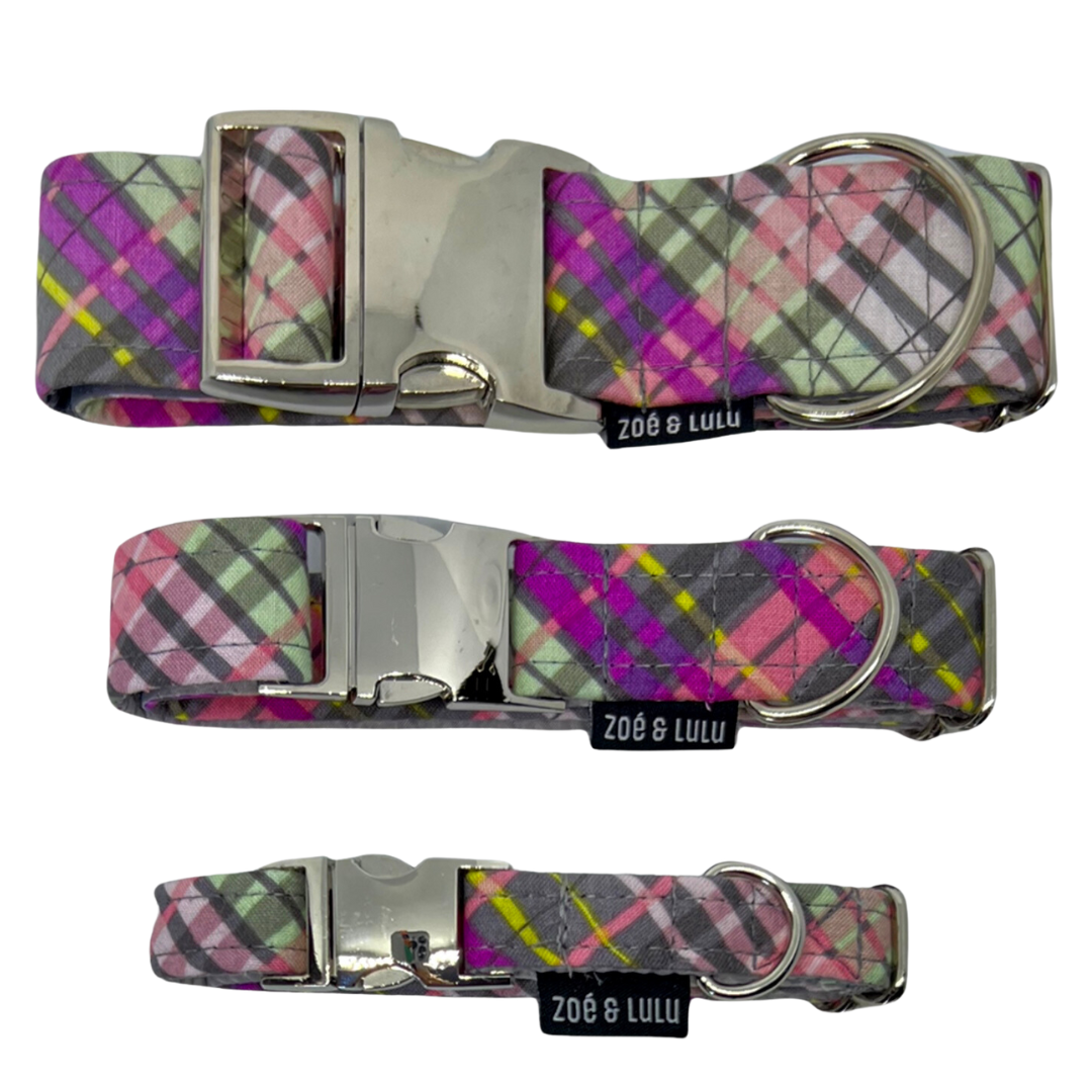 Collier pour Chien Marseille