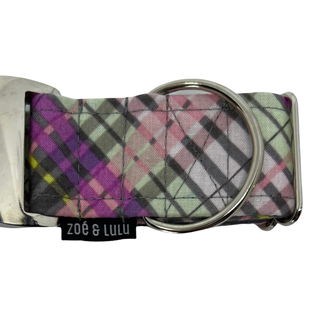 Collier pour Chien Marseille