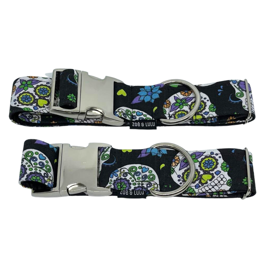 Collier pour Chien Mexico