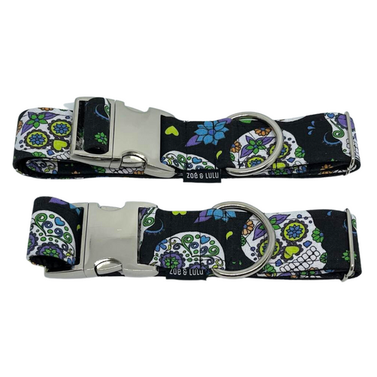 Collier pour Chien Mexico