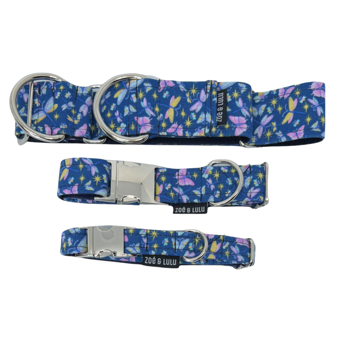 Collier pour Chien Omaha