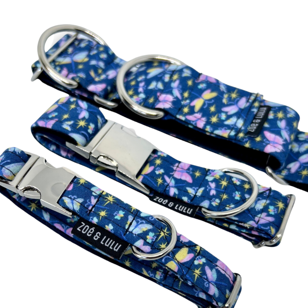 Collier pour Chien Omaha