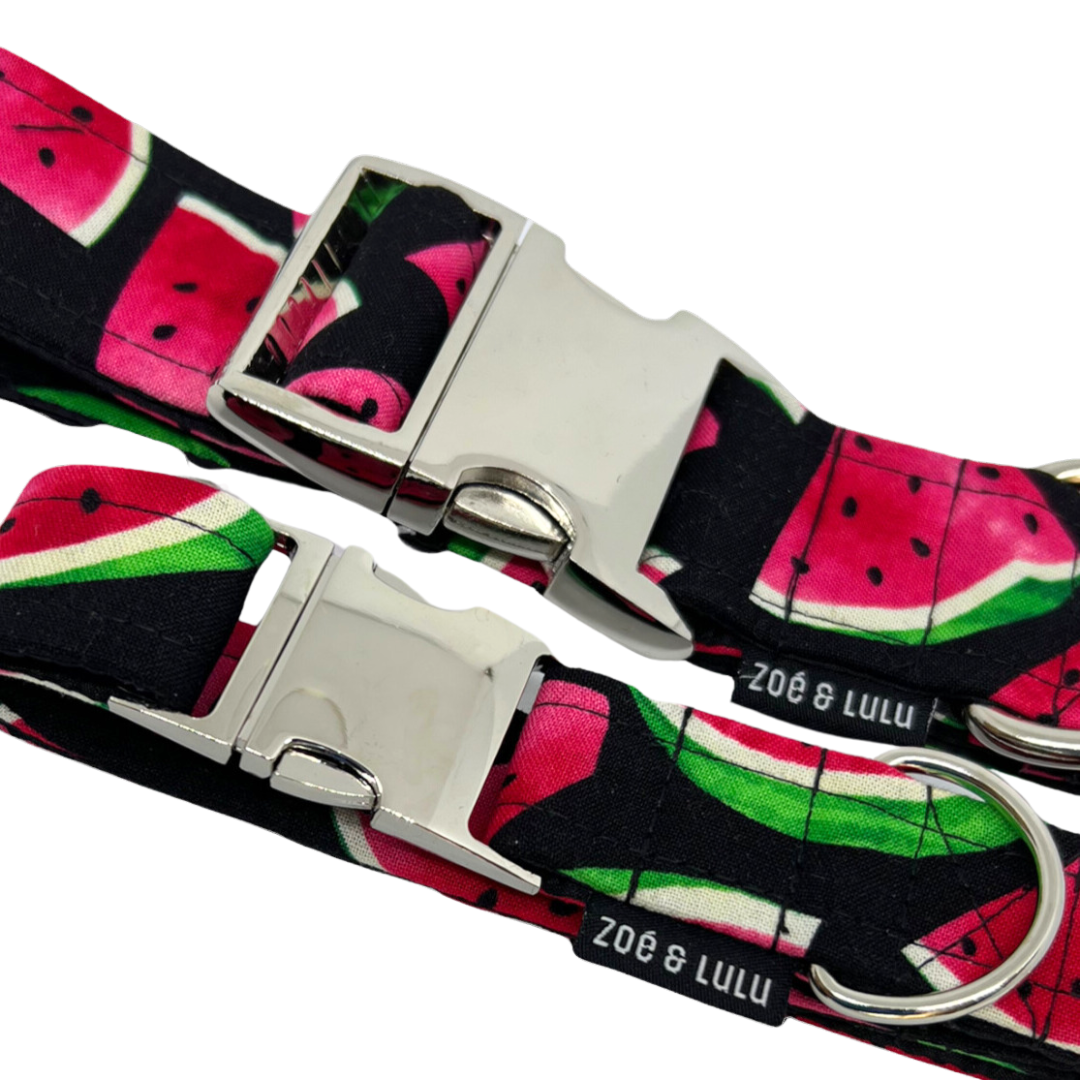 Collier pour Chien Osaka