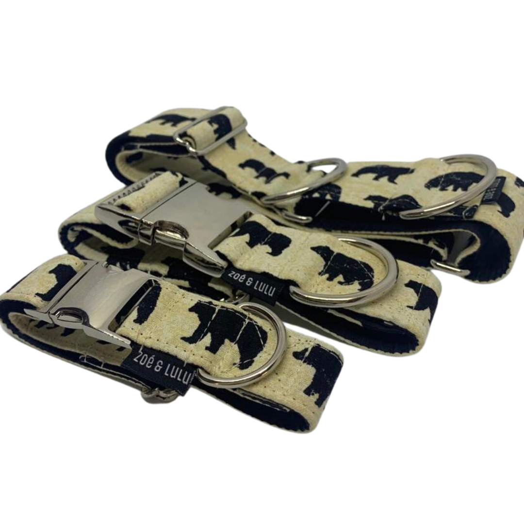Collier pour Chien Ours