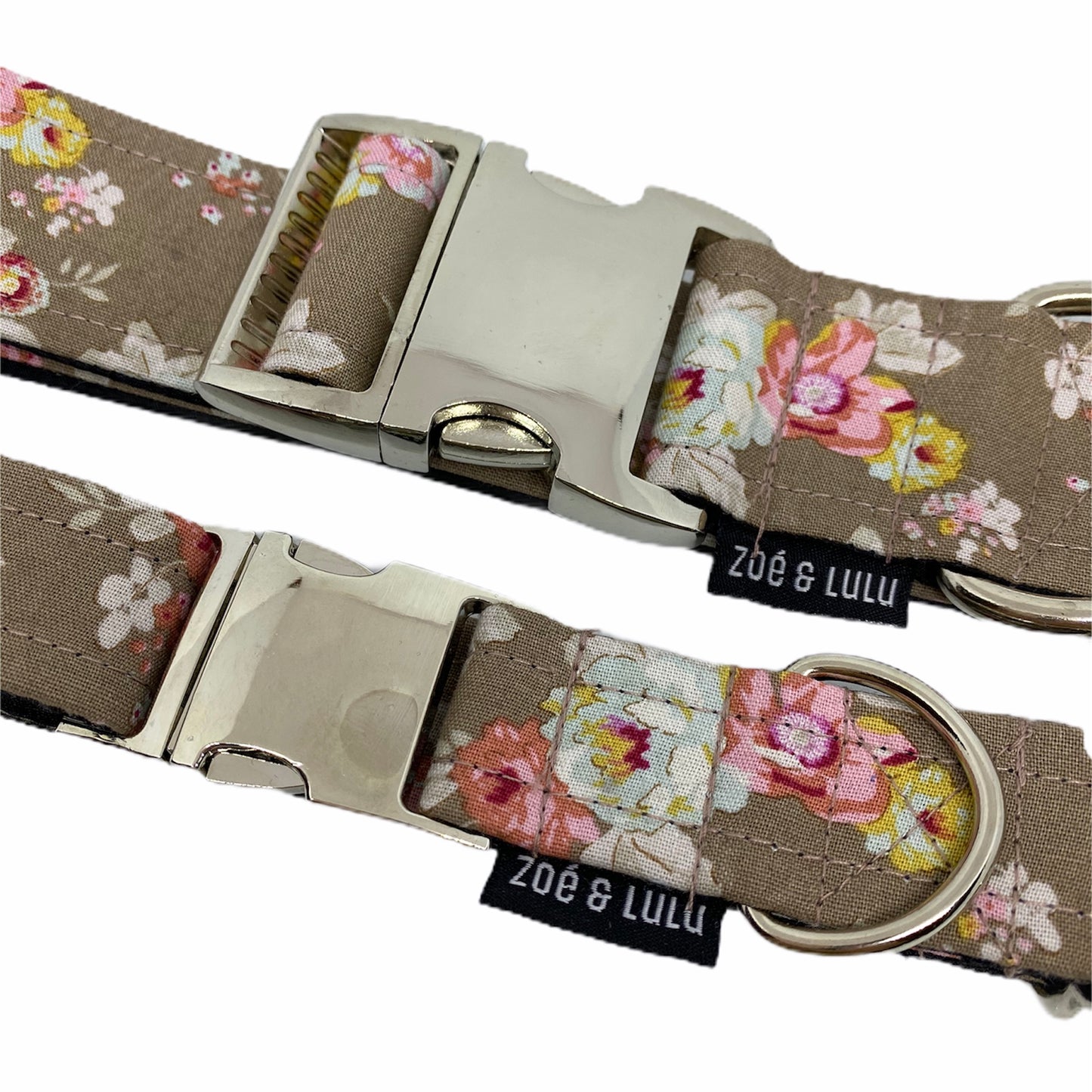 Collier pour Chien Bruxelles