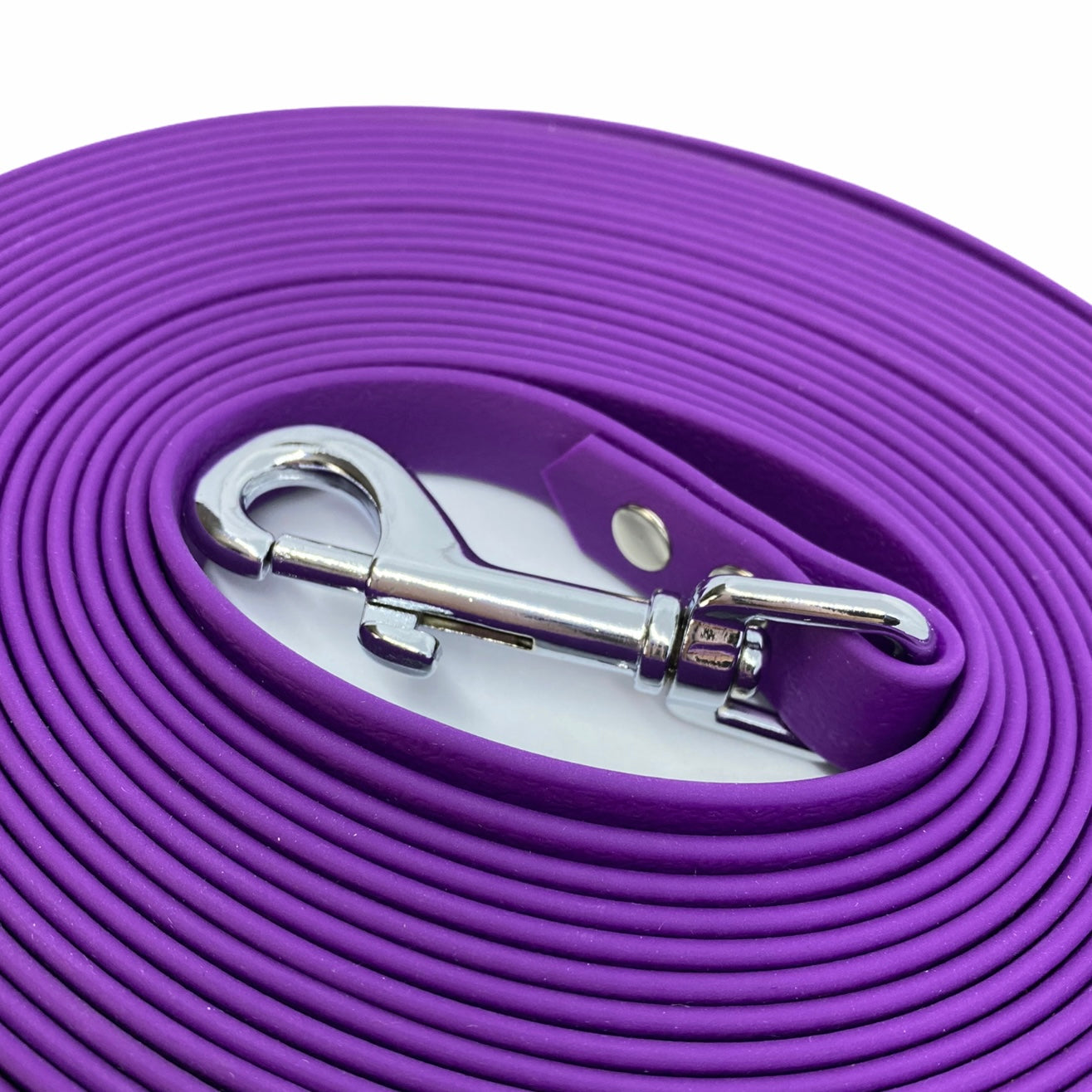 Laisse Splash 1" Simple