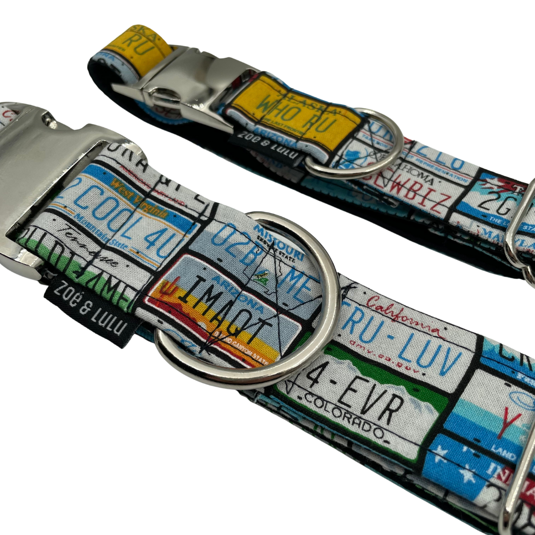 Collier pour Chien Plaques