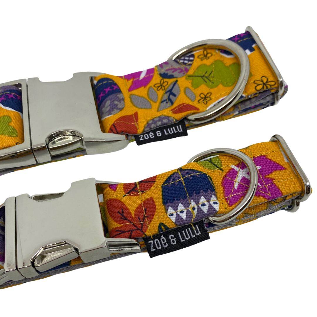 Collier pour Chien Portland