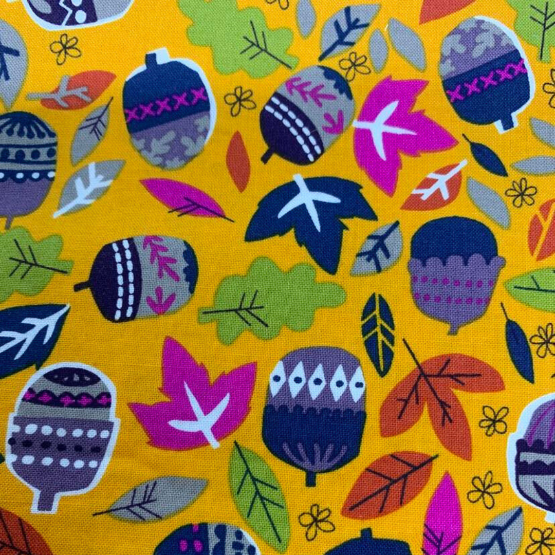 Collier pour Chien Portland