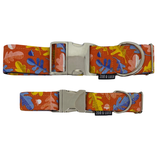 Collier pour Chien Providence