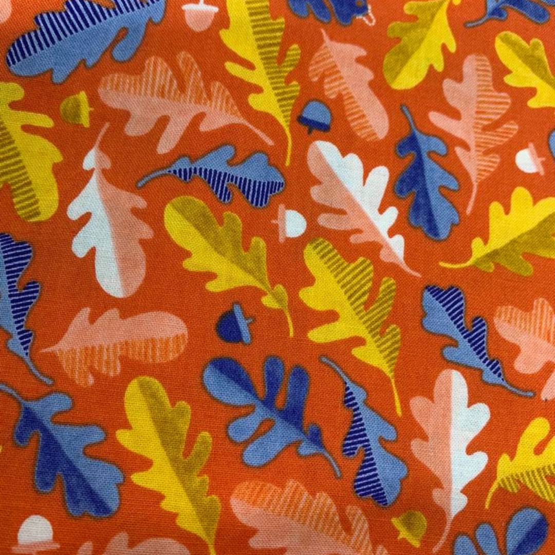 Collier pour Chien Providence