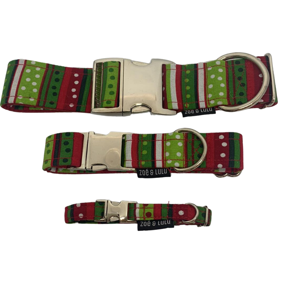 Collier pour Chien Rigaudon